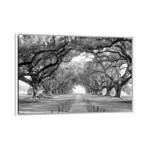 Wayfair Black & White Oversized Wall Art You'll Love in 2023